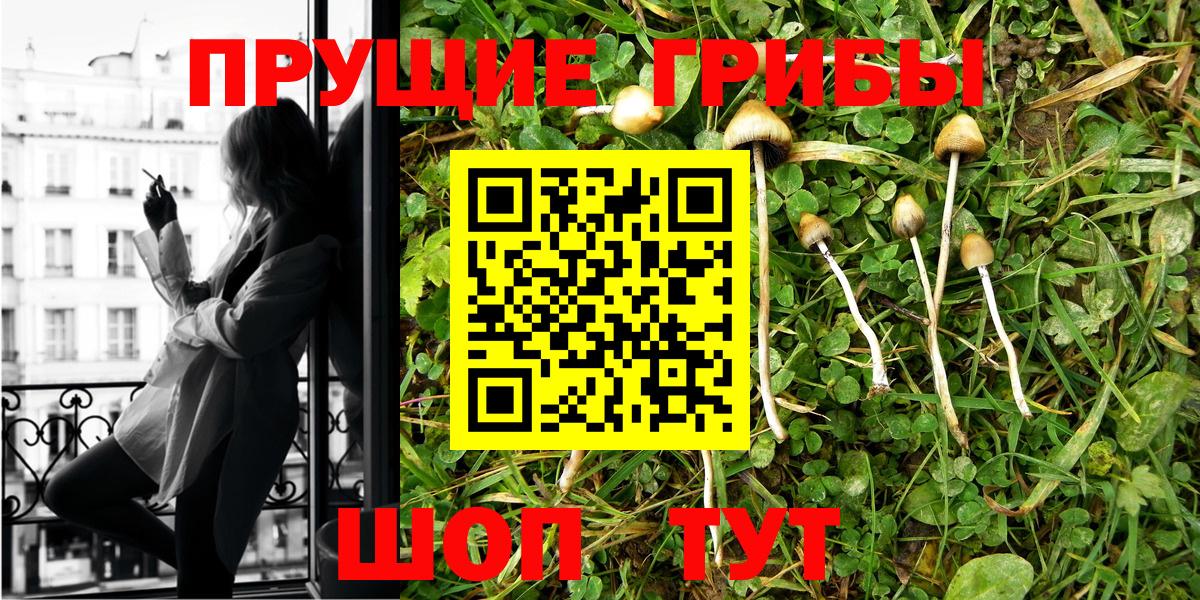 Псилоцибиновые грибы прущие грибы  Галлюциногенные грибы MAGIC MUSHROOMS  Кирово-Чепецк  Вход с VPN 